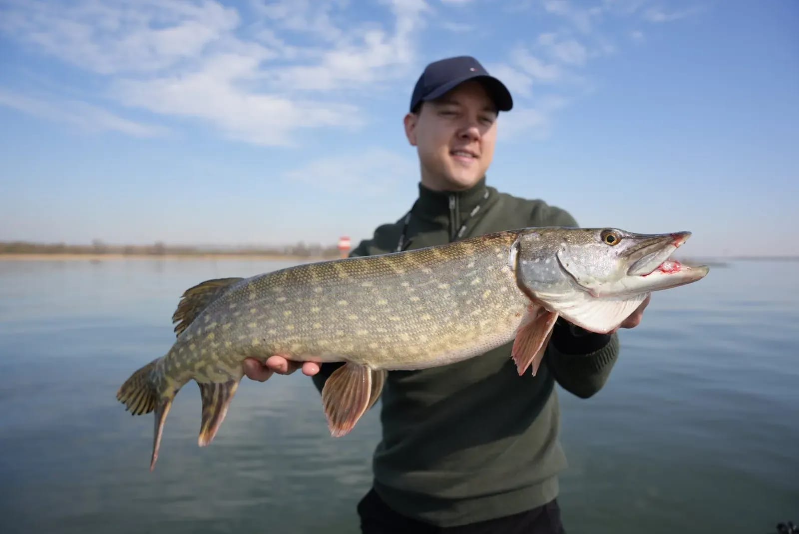 Een gast houdt een snoek voor zich uit op een heldere voorjaarsdag