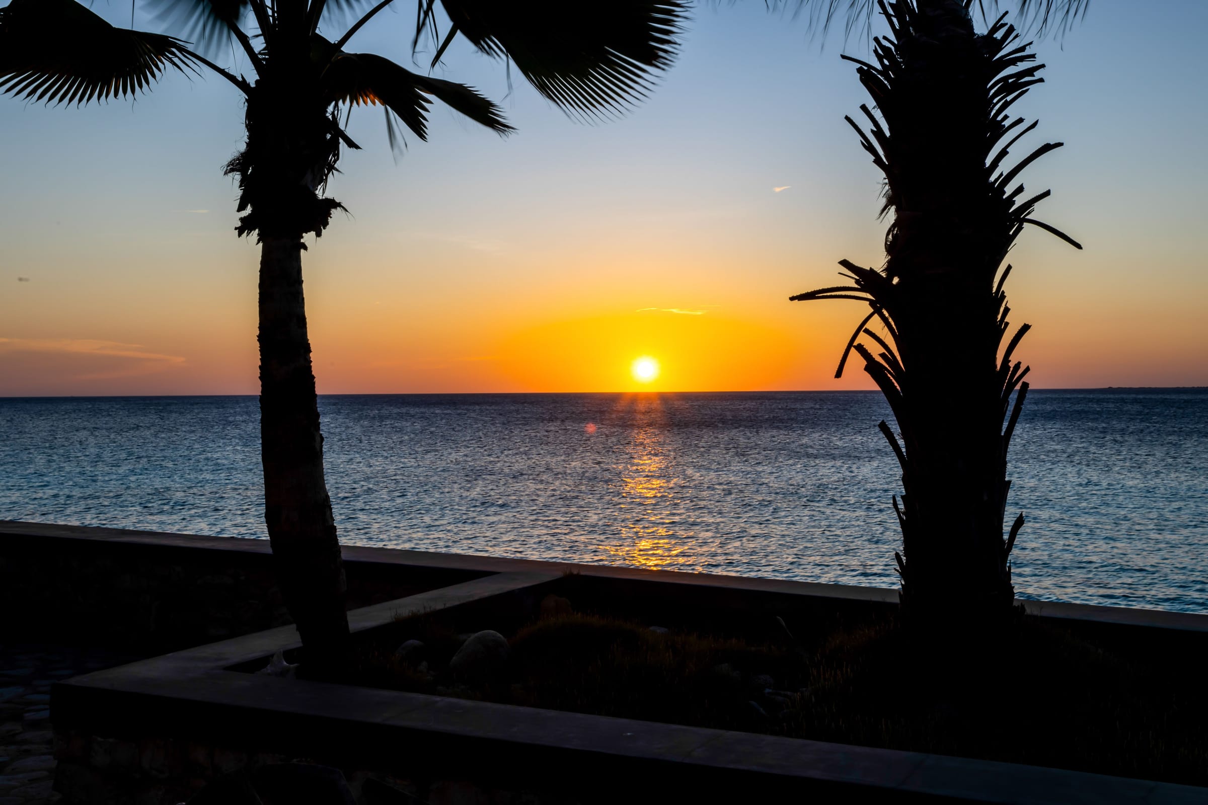 Zonsondergang boven de Caribische Zee met palmen