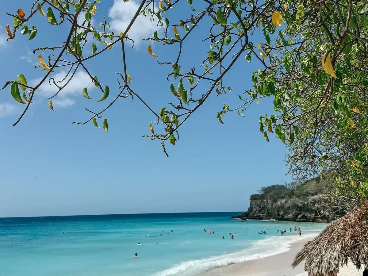 Der Strand Cas Abao mit überhängenden Zweigen